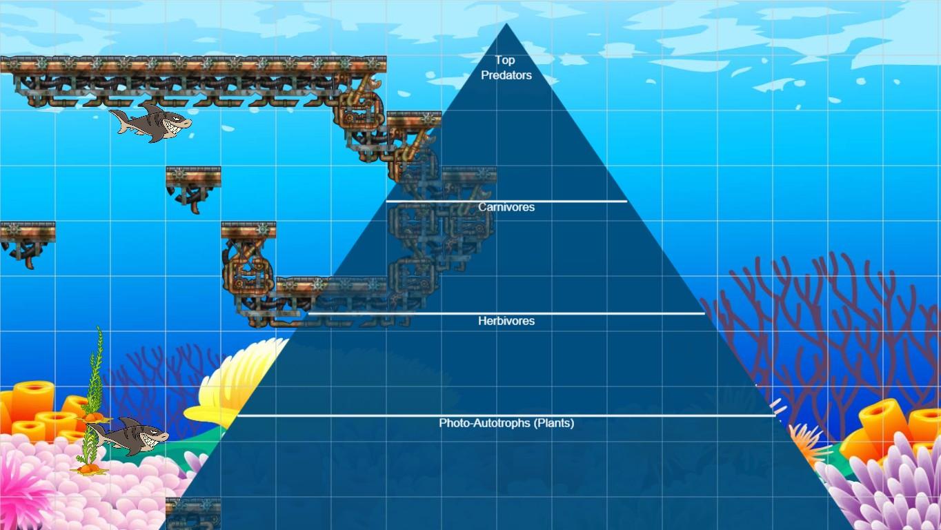 Ocean Ecological Pyramid - TEMPLATE