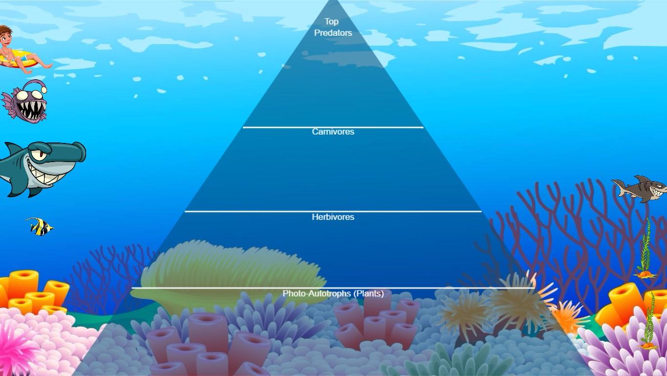 Ocean Ecological Pyramid - TEMPLATE