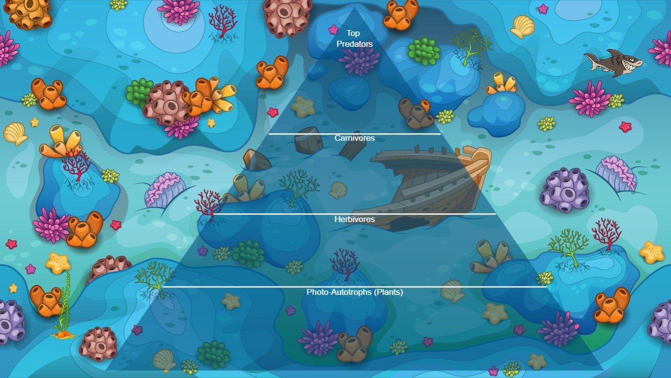 Ocean Ecological Pyramid - TEMPLATE