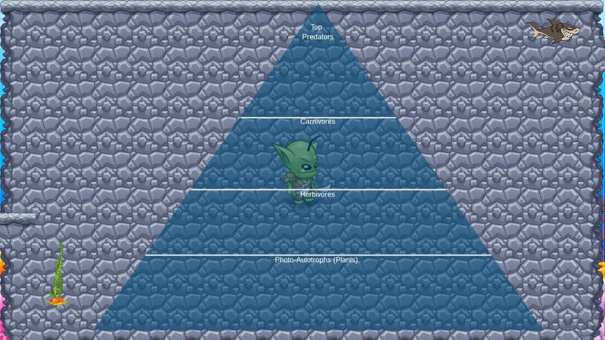 Ocean Ecological Pyramid - TEMPLATE