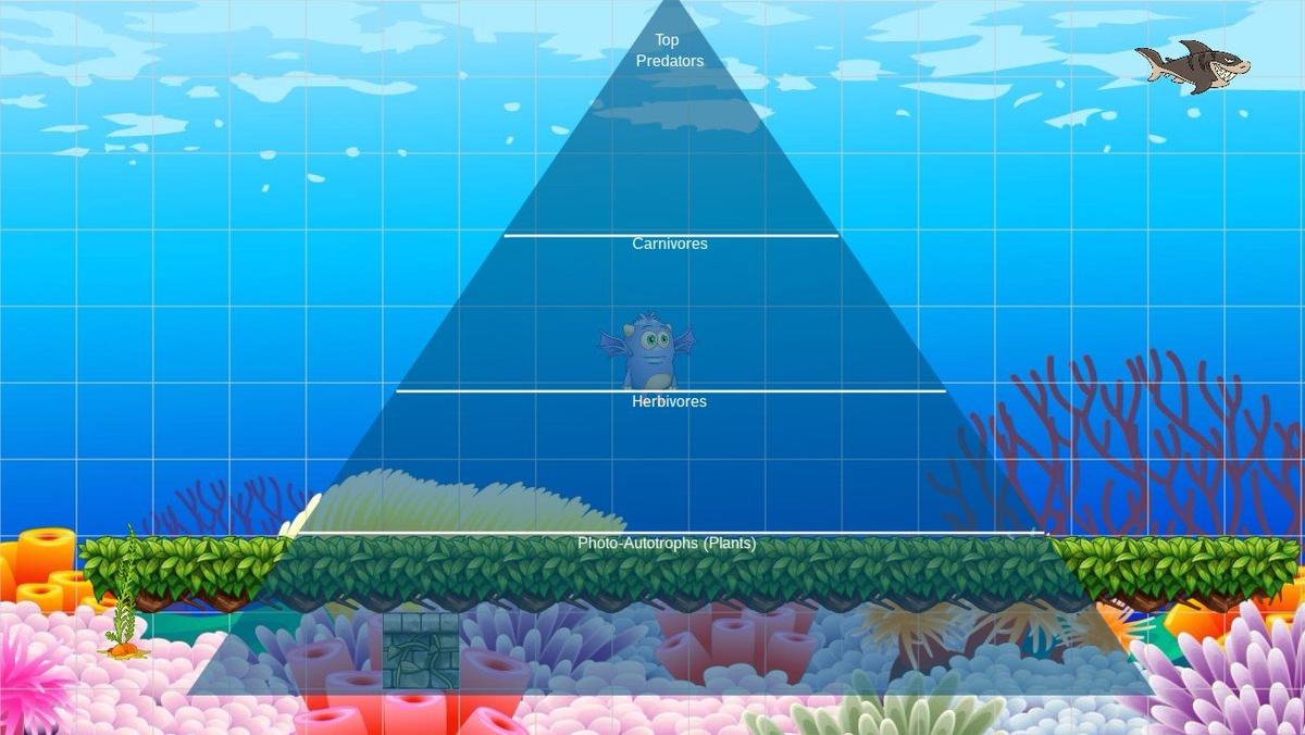 Ocean Ecological Pyramid - TEMPLATE