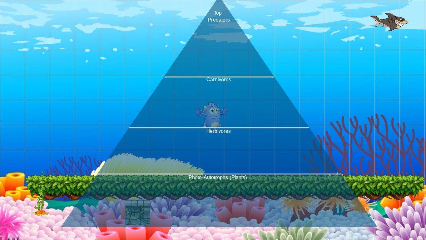 Ocean Ecological Pyramid - TEMPLATE