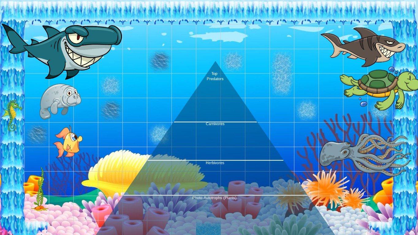 Ocean Ecological Pyramid - TEMPLATE