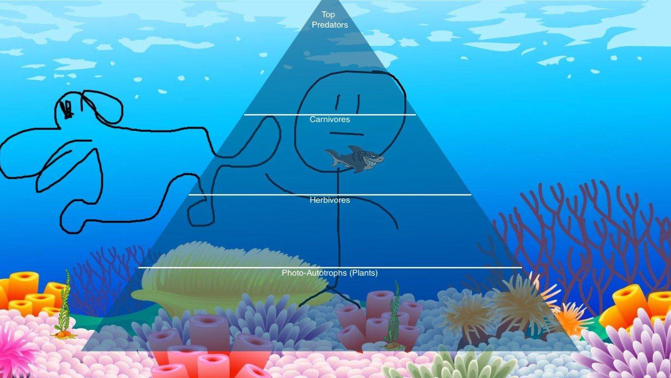 Ocean Ecological Pyramid - TEMPLATE