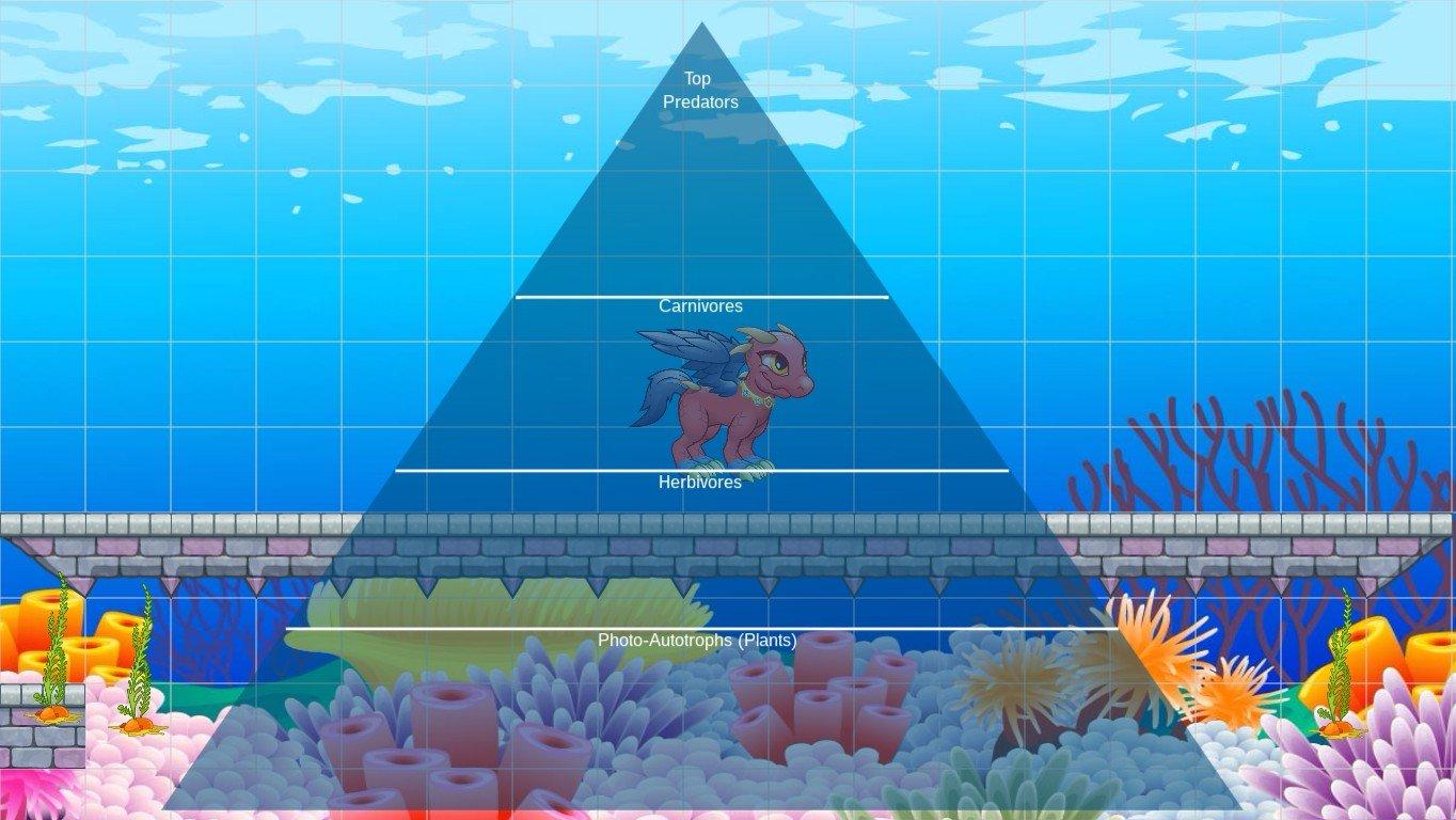 Ocean Ecological Pyramid - TEMPLATE