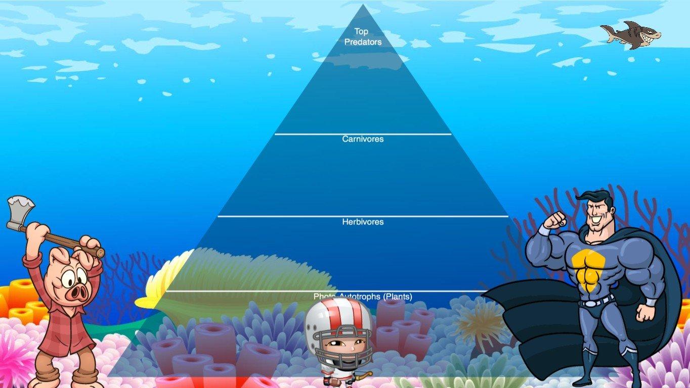 Ocean Ecological Pyramid - TEMPLATE