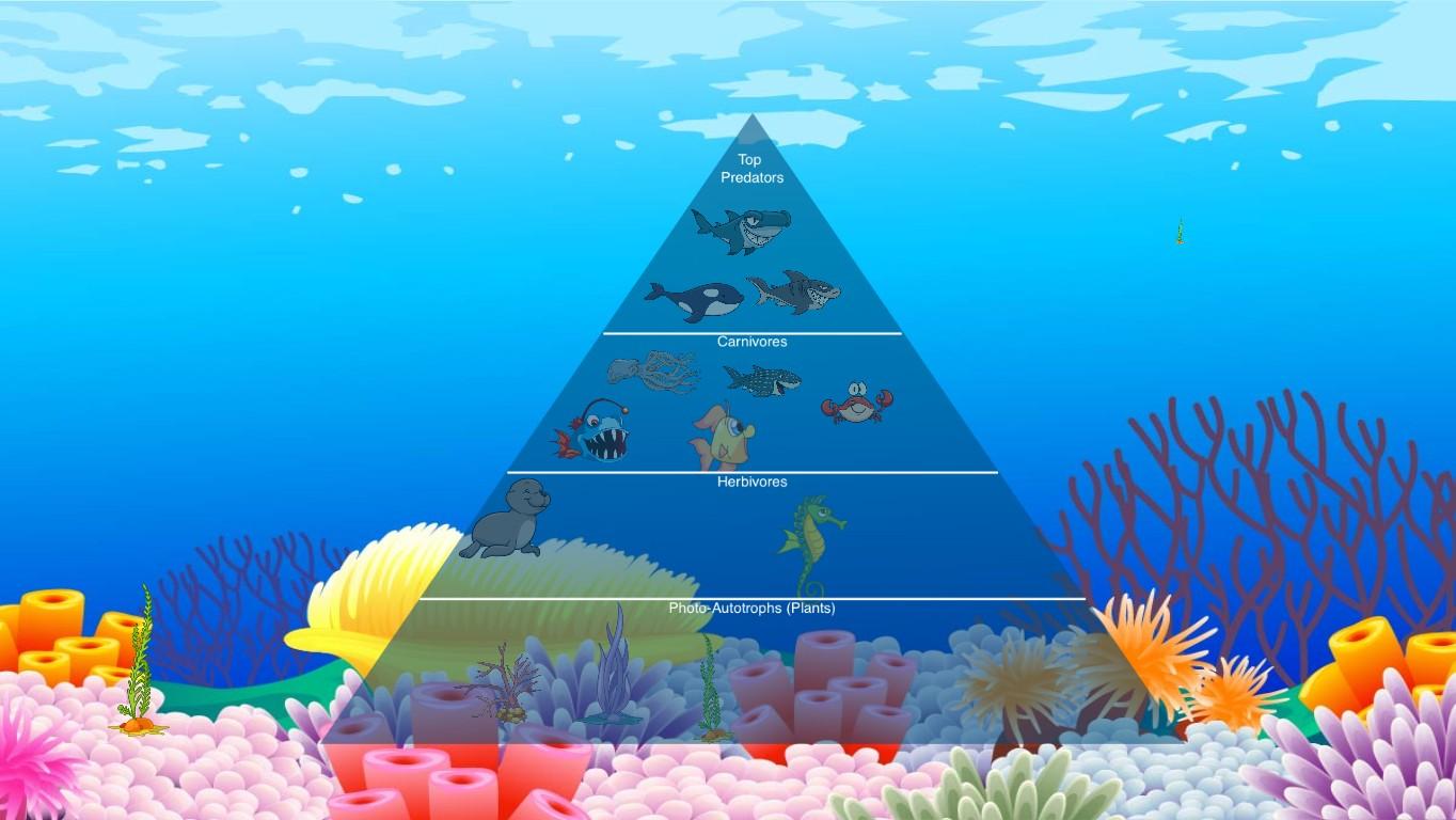 Ocean Ecological Pyramid - TEMPLATE