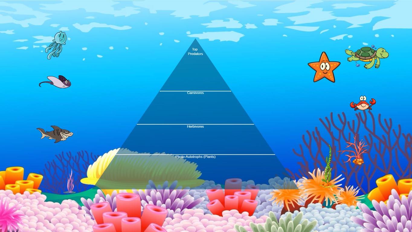 Ocean Ecological Pyramid - TEMPLATE