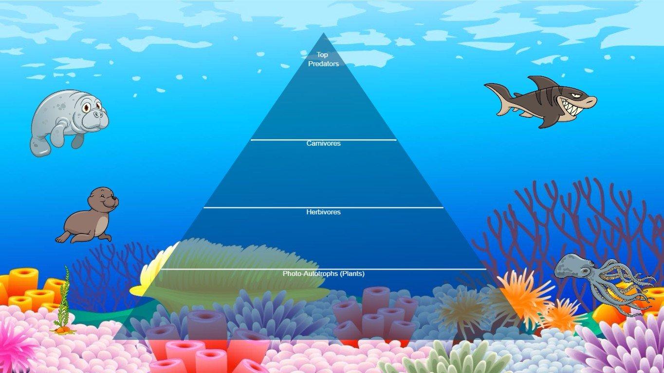 Ocean Ecological Pyramid - TEMPLATE