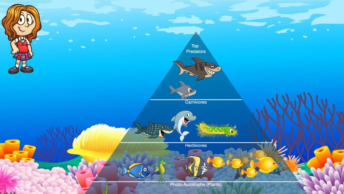 Ocean Ecological Pyramid - TEMPLATE