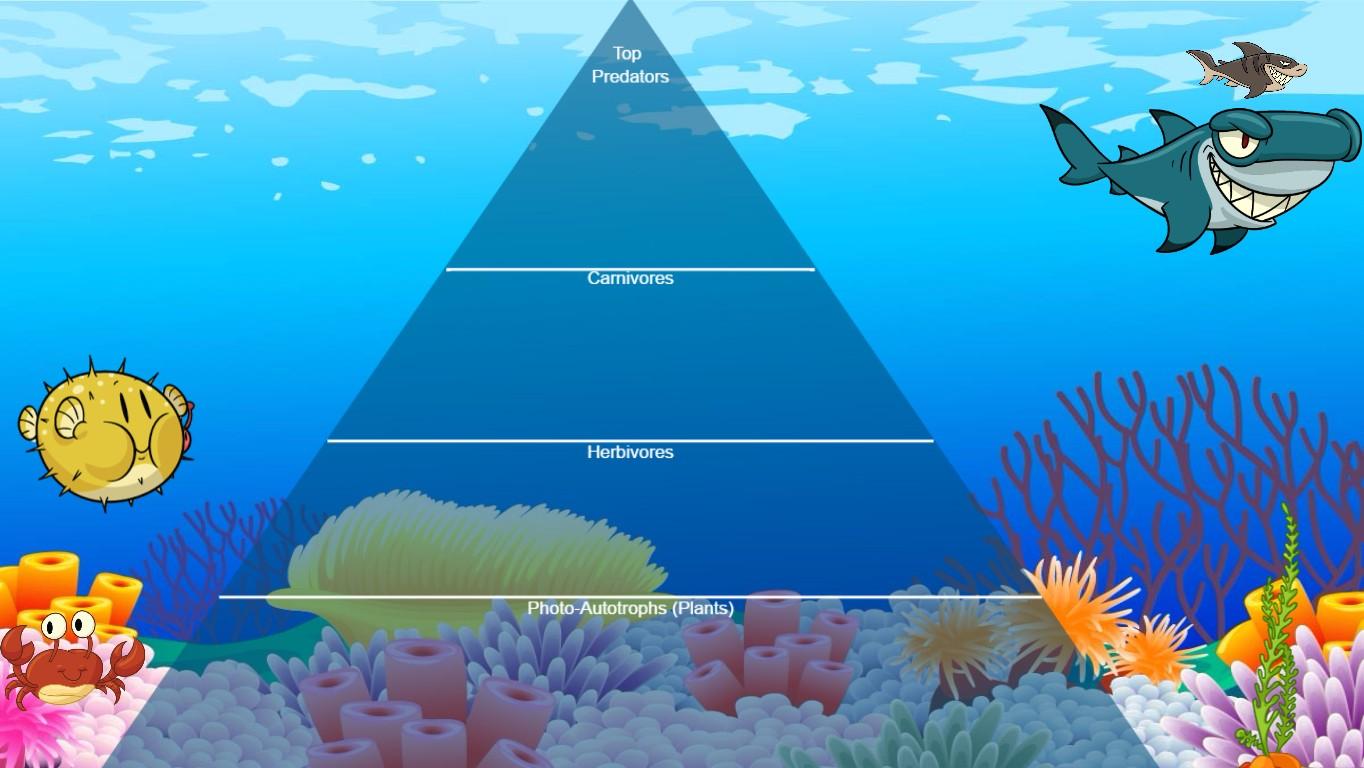 Ocean Ecological Pyramid - TEMPLATE