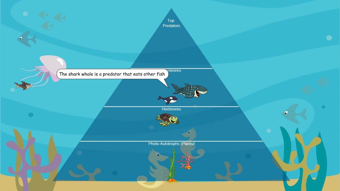 Ocean Ecological Pyramid - TEMPLATE