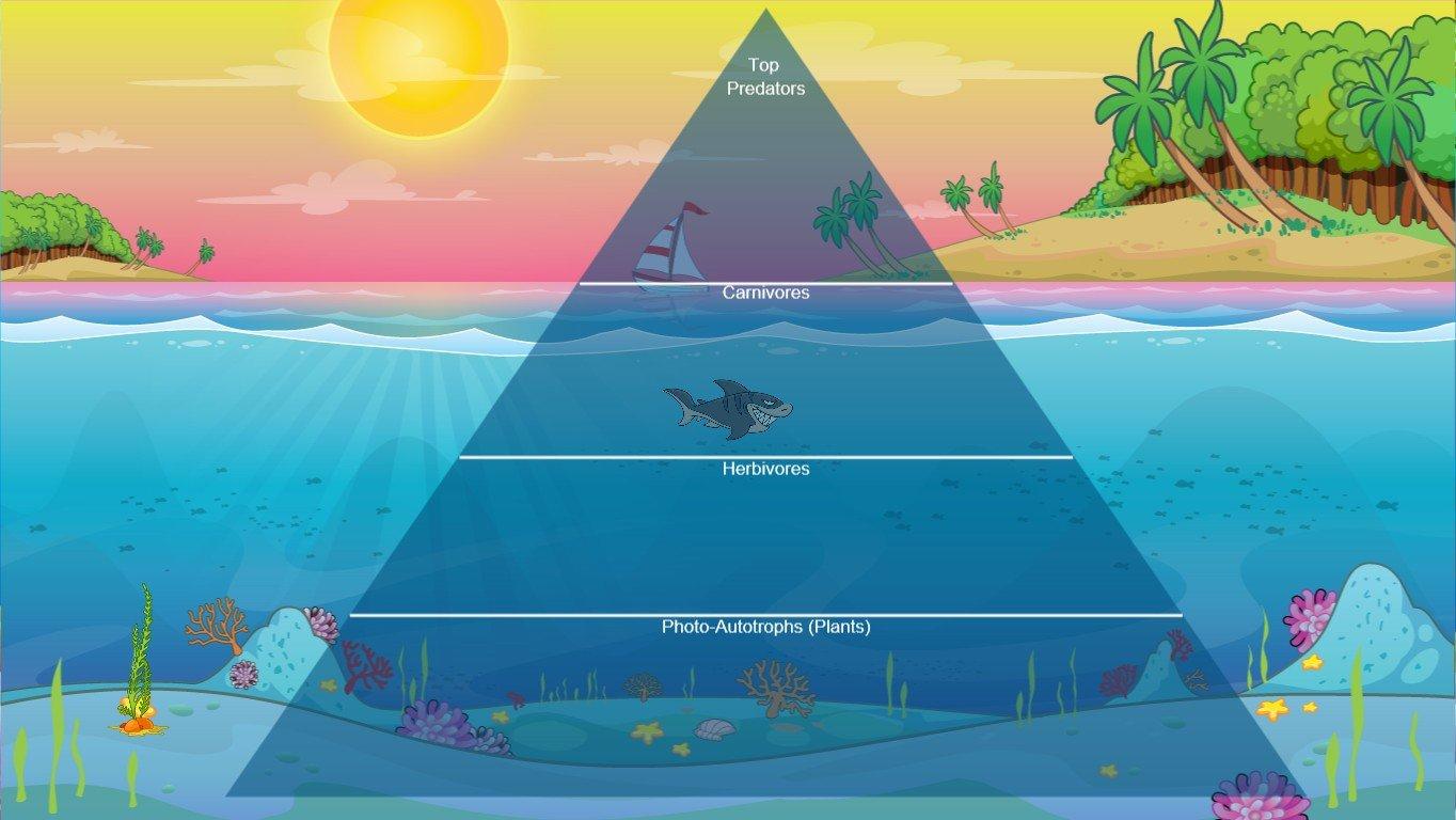 Ocean Ecological Pyramid - TEMPLATE