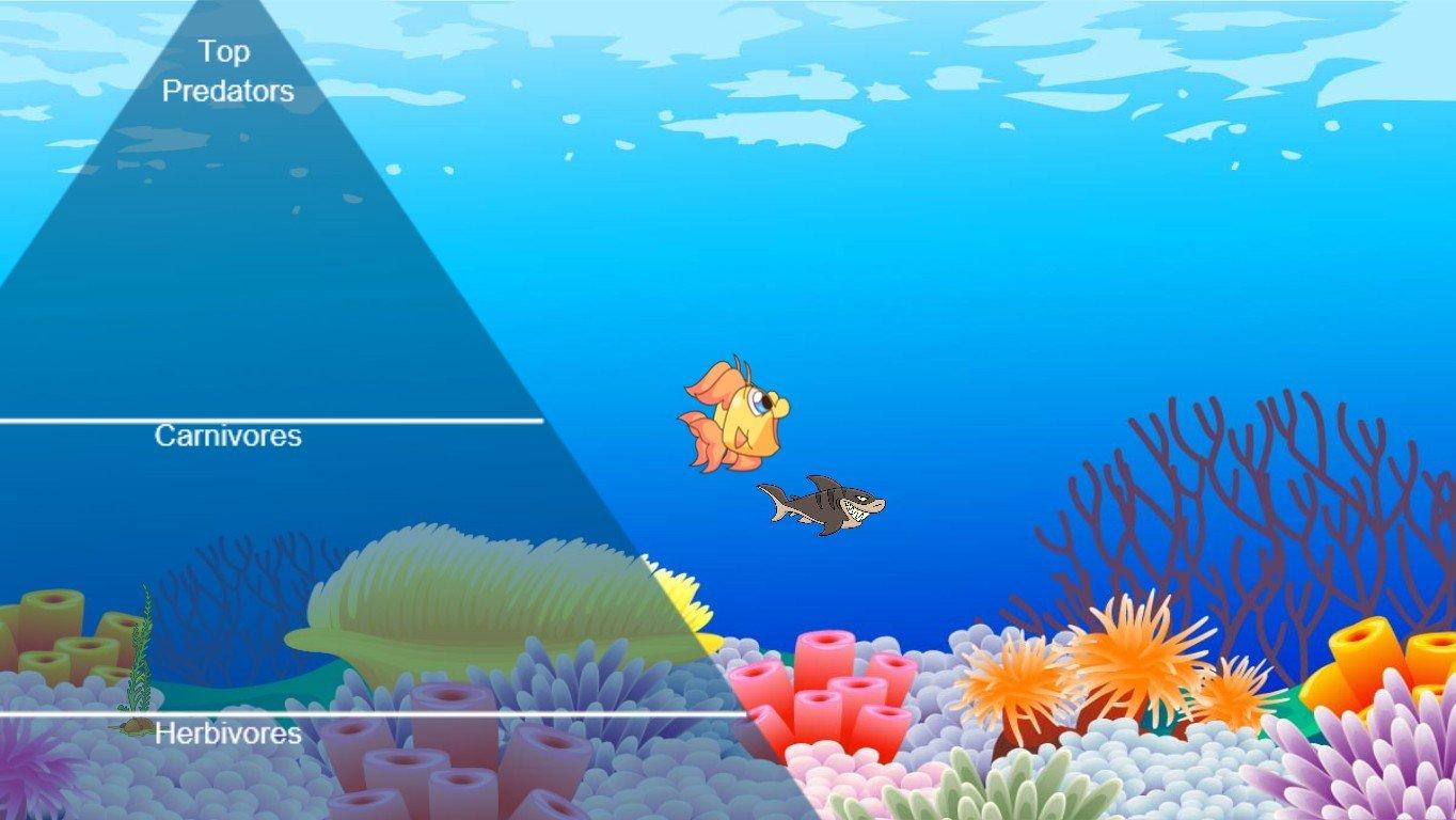 Ocean Ecological Pyramid - TEMPLATE