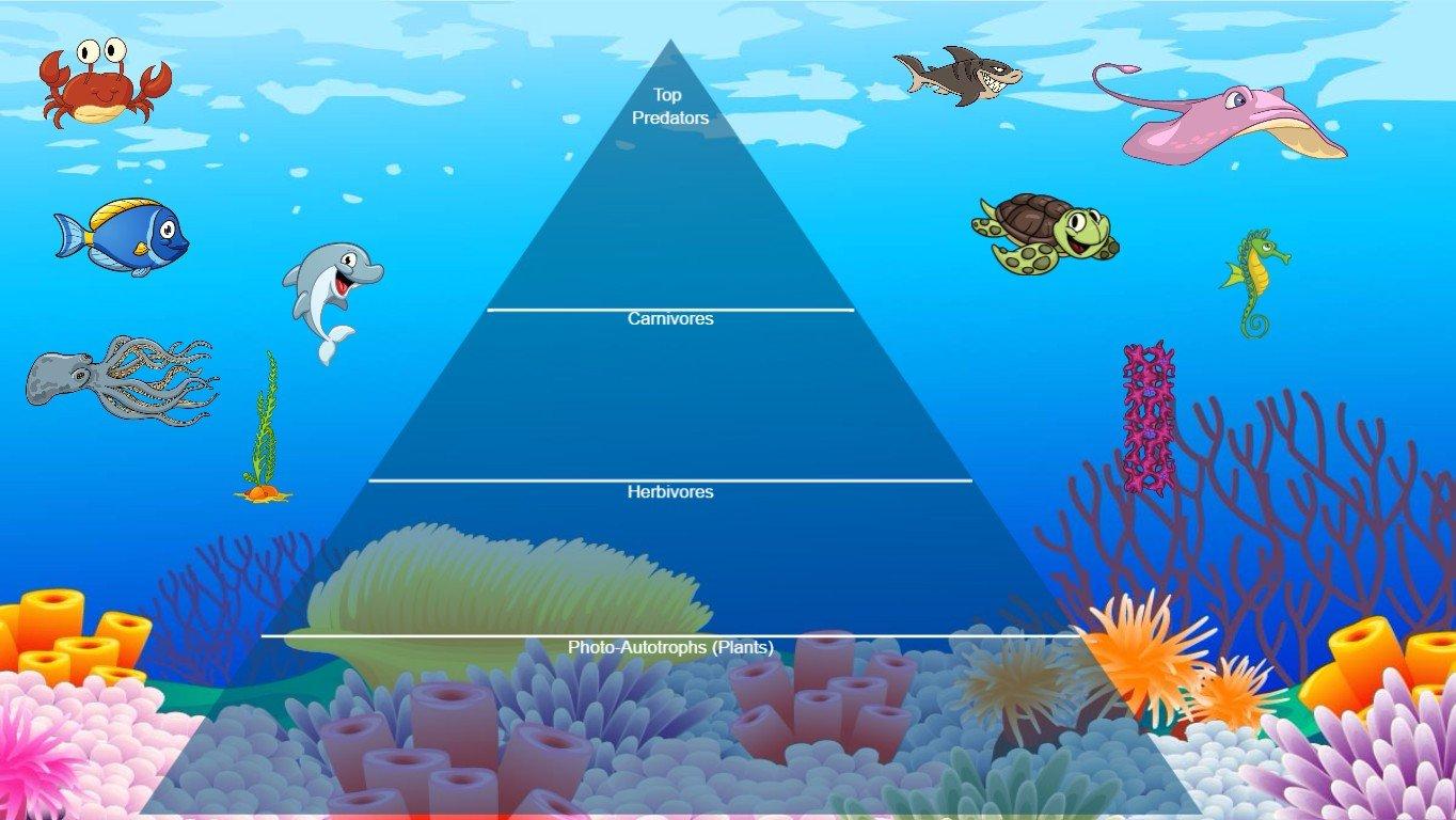 Ocean Ecological Pyramid - TEMPLATE