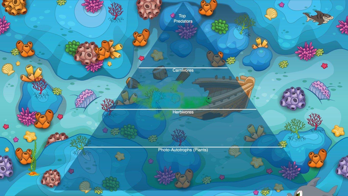 Ocean Ecological Pyramid - TEMPLATE