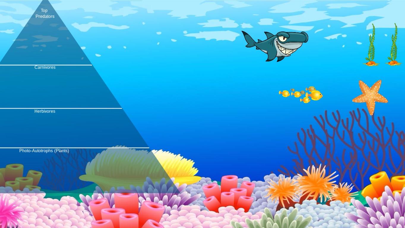 Ocean Ecological Pyramid - TEMPLATE