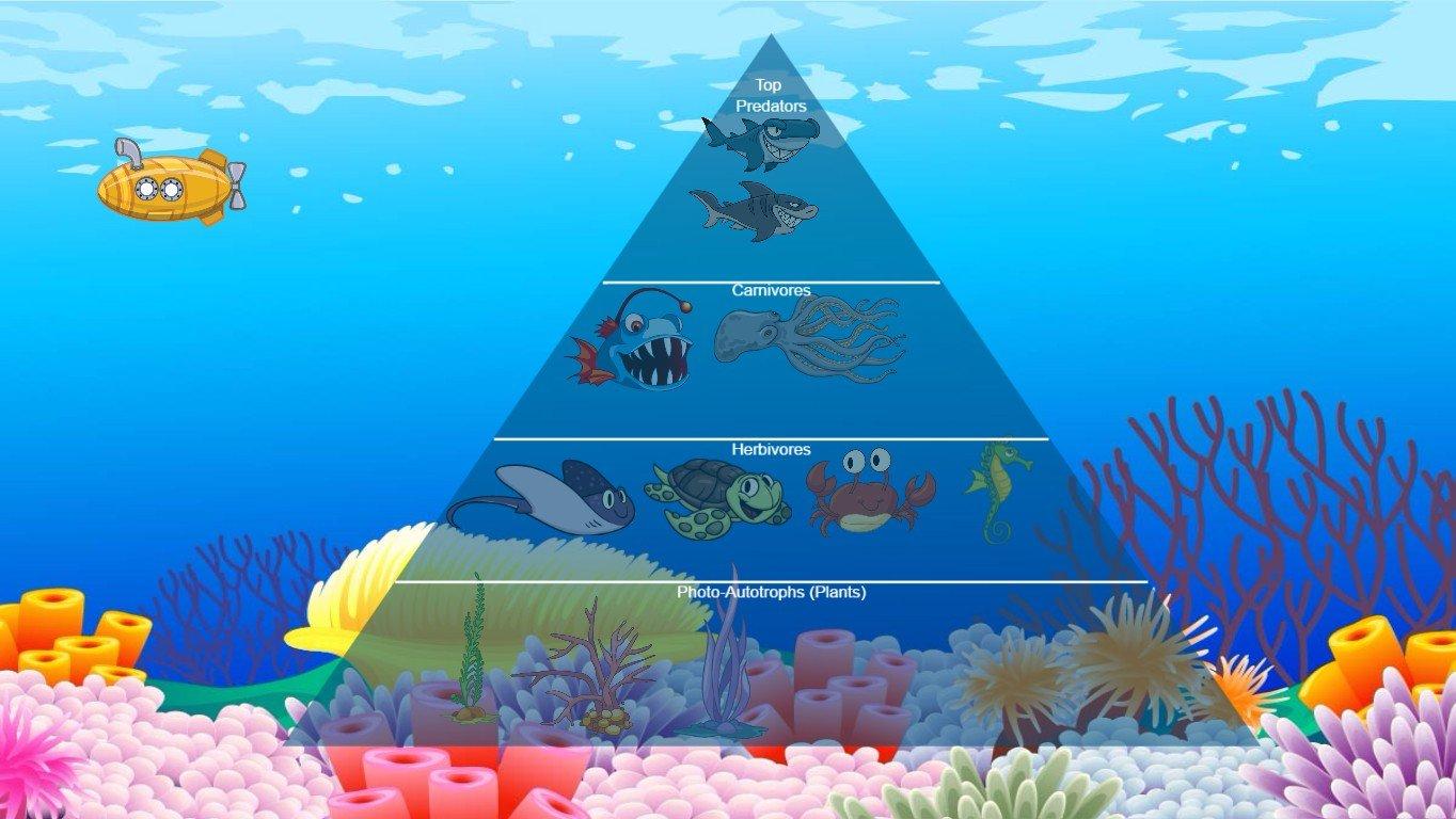 Ocean Ecological Pyramid - TEMPLATE