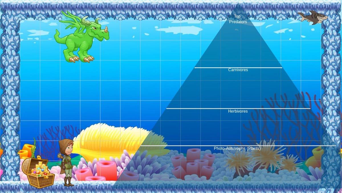 Ocean Ecological Pyramid - TEMPLATE