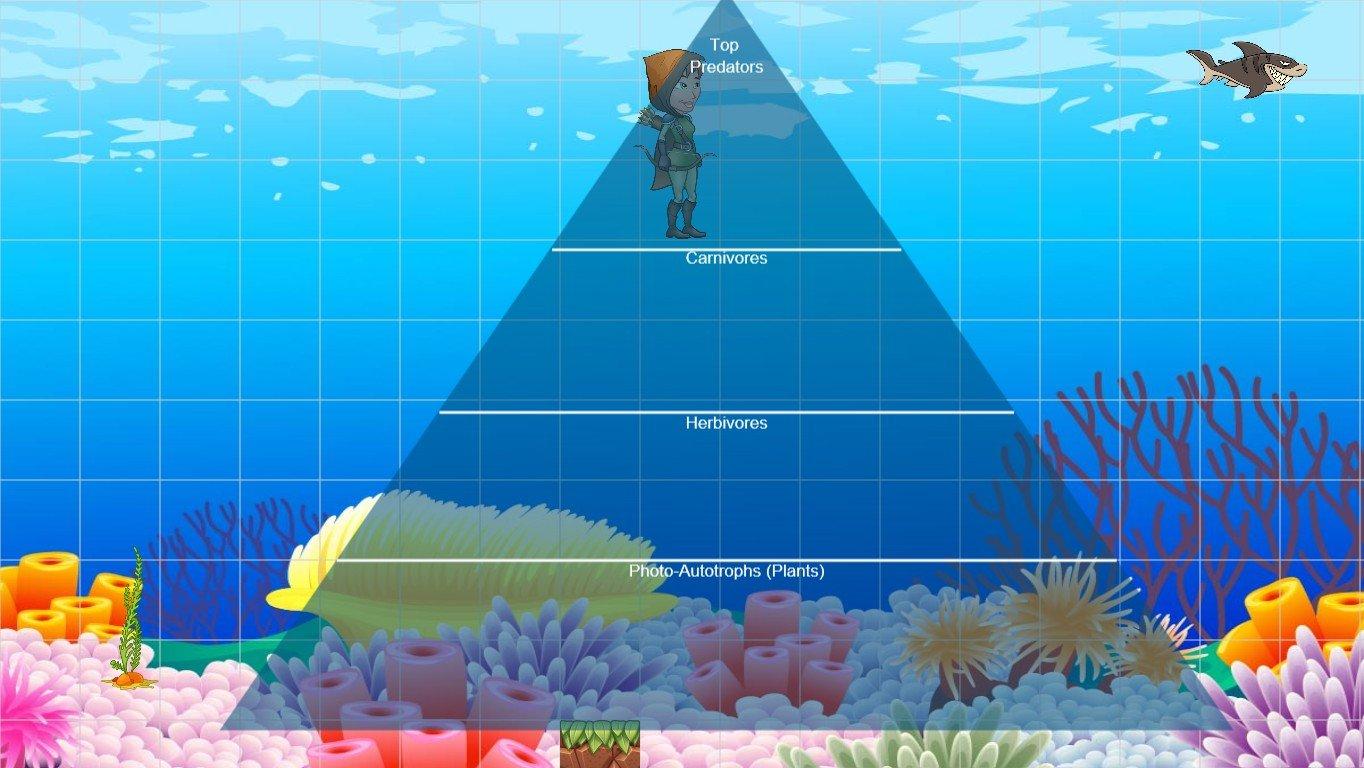 Ocean Ecological Pyramid - TEMPLATE