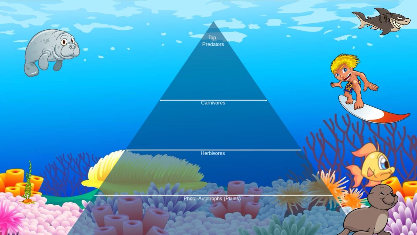 Ocean Ecological Pyramid - TEMPLATE