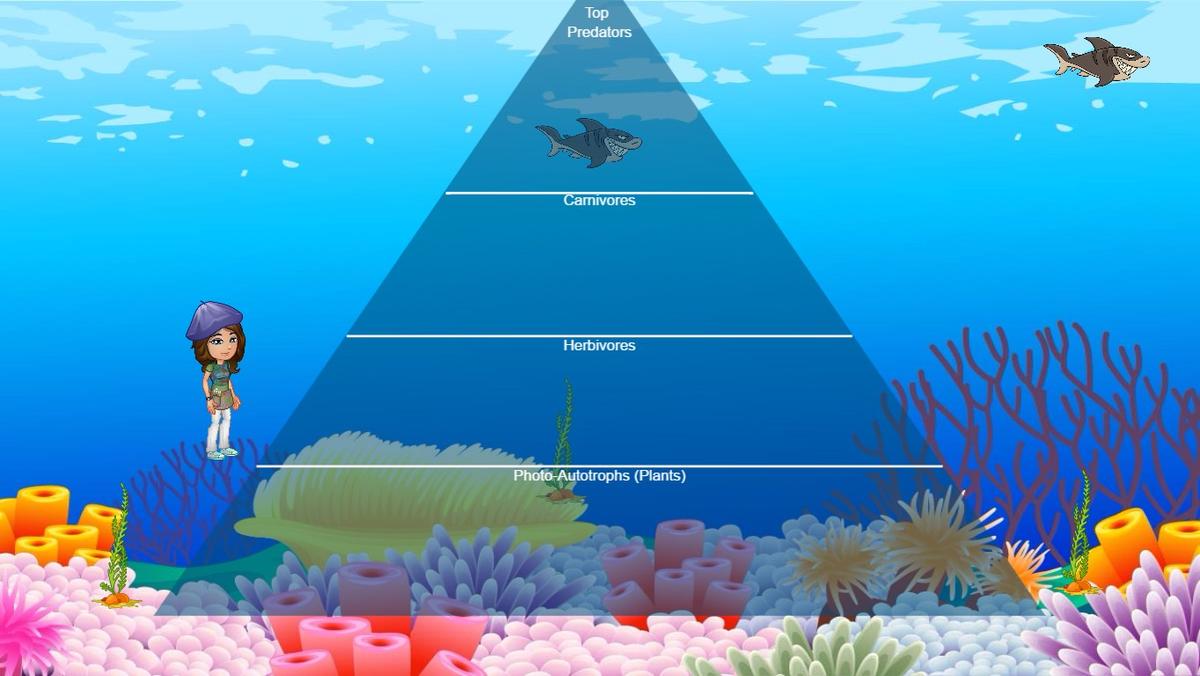 Ocean Ecological Pyramid - TEMPLATE