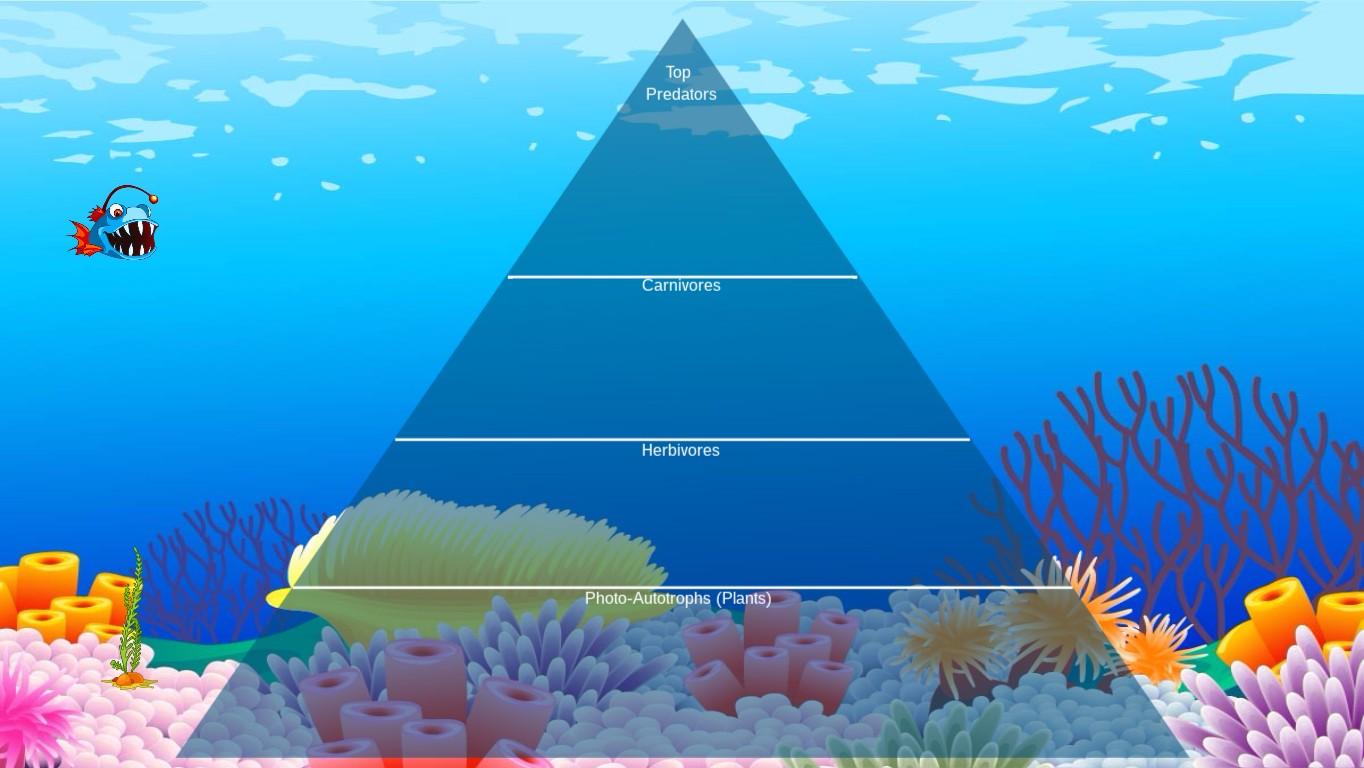 Ocean Ecological Pyramid - TEMPLATE