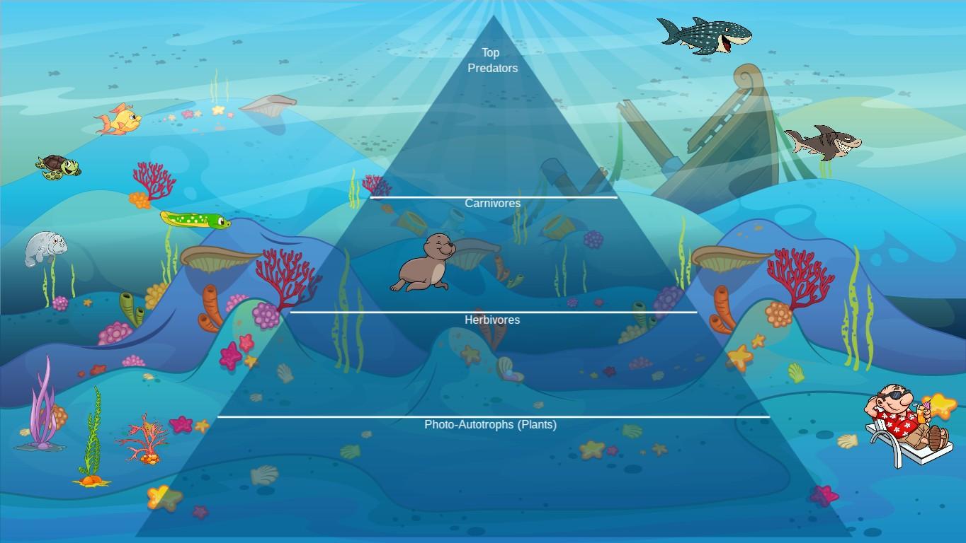 Ocean Ecological Pyramid - TEMPLATE