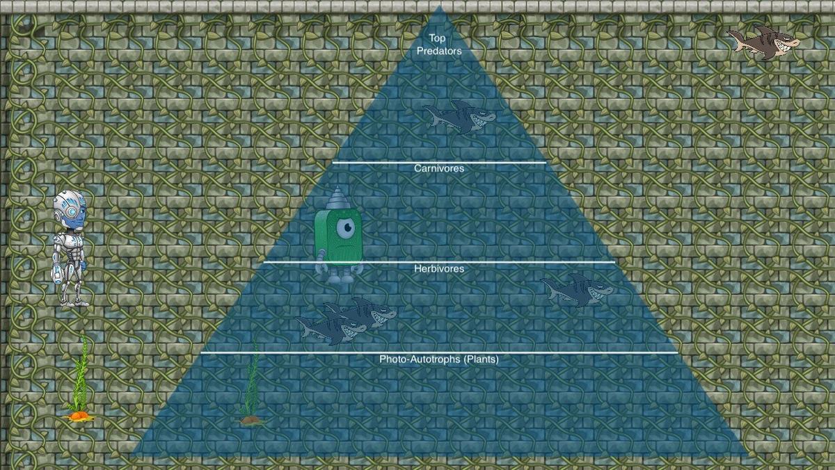 Ocean Ecological Pyramid - TEMPLATE