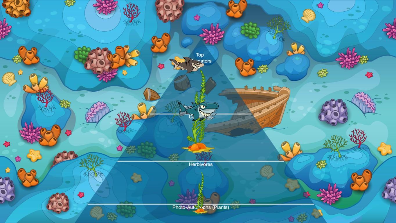 Ocean Ecological Pyramid - TEMPLATE