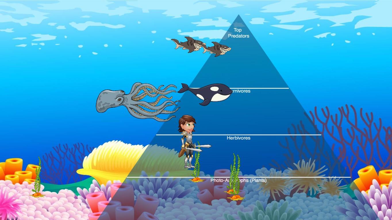 Ocean Ecological Pyramid - TEMPLATE