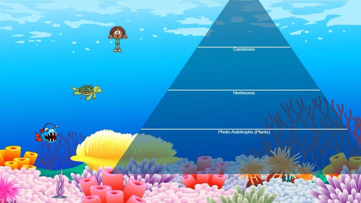 Ocean Ecological Pyramid - TEMPLATE