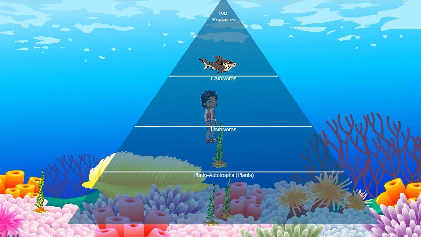 Ocean Ecological Pyramid - TEMPLATE