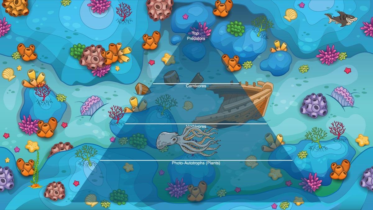 Ocean Ecological Pyramid - TEMPLATE