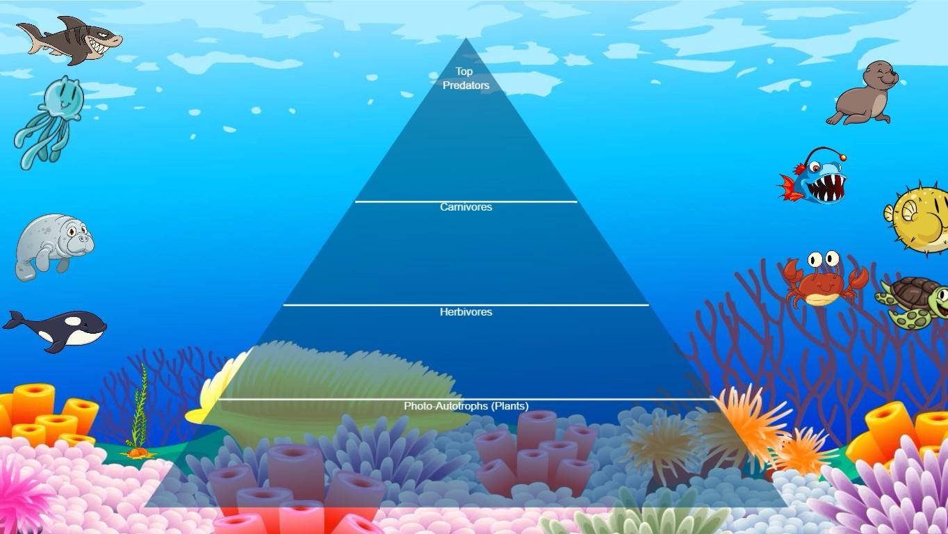 Ocean Ecological Pyramid - TEMPLATE