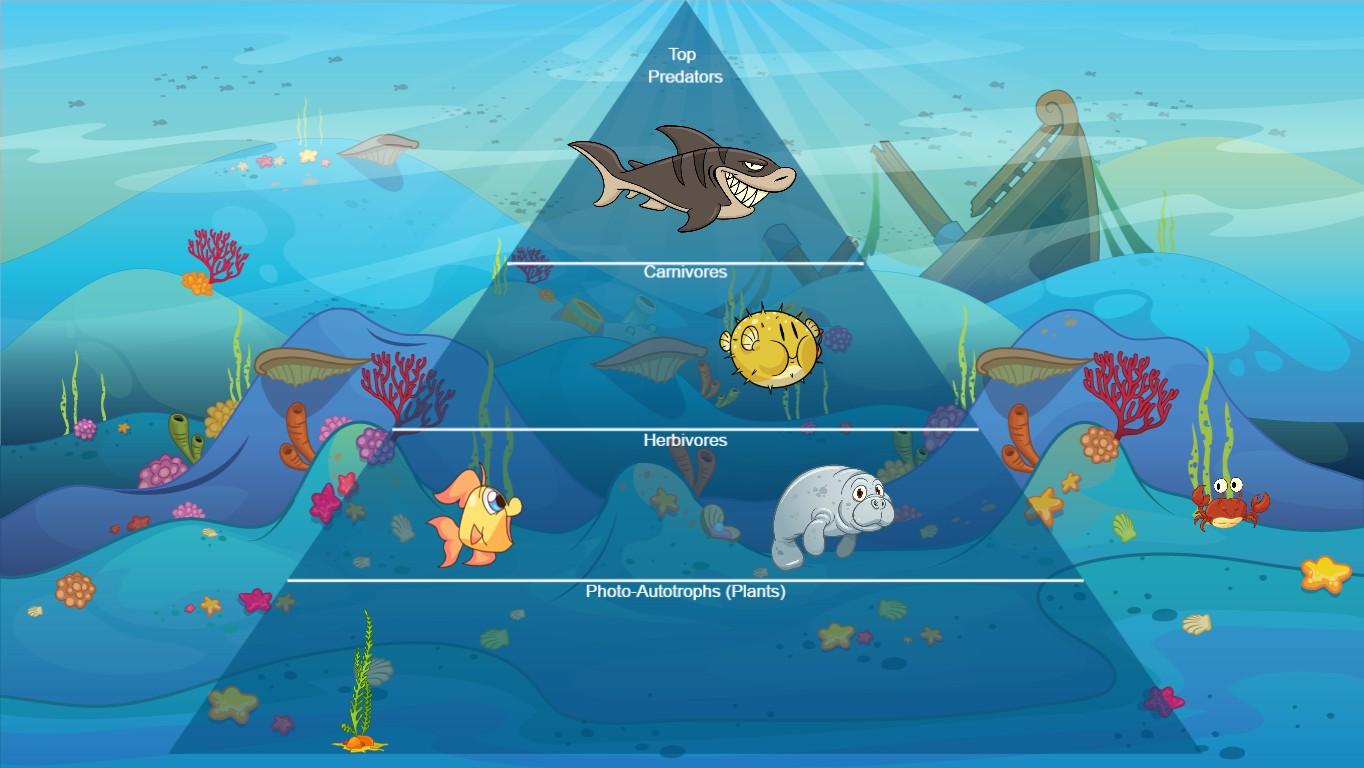 Ocean Ecological Pyramid - TEMPLATE