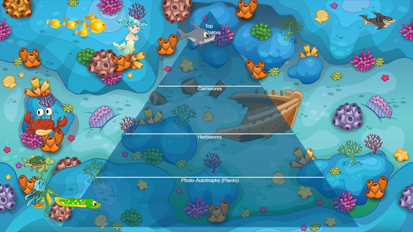 Ocean Ecological Pyramid - TEMPLATE