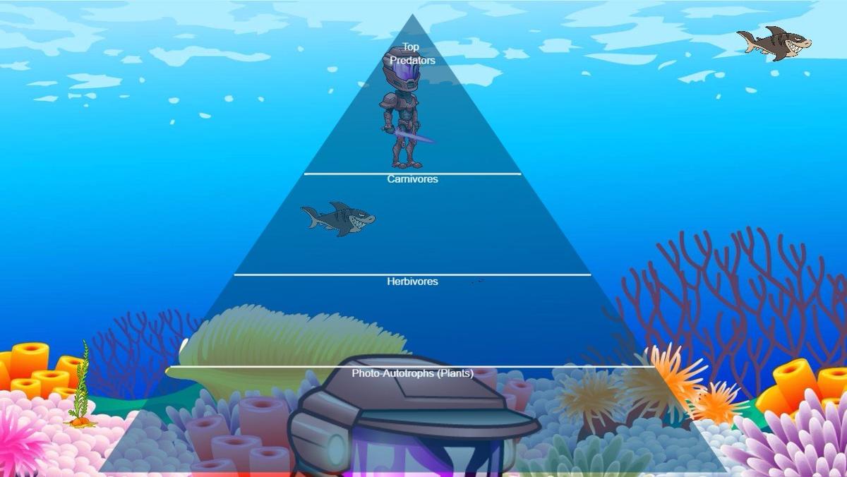 Ocean Ecological Pyramid - TEMPLATE