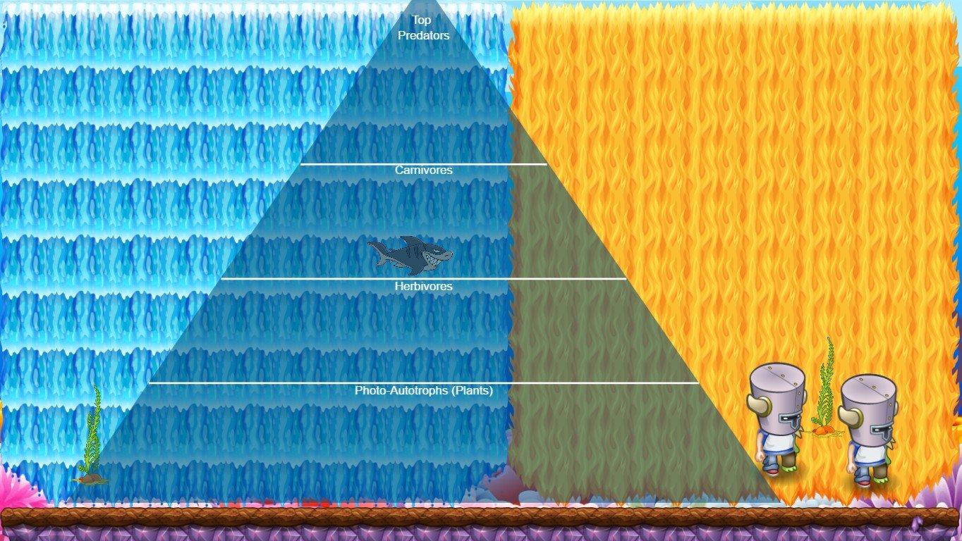 Ocean Ecological Pyramid - TEMPLATE