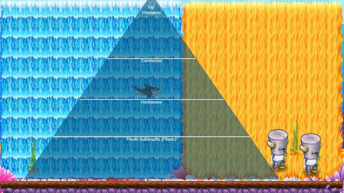 Ocean Ecological Pyramid - TEMPLATE