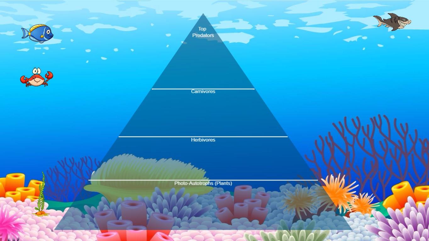 Ocean Ecological Pyramid - TEMPLATE