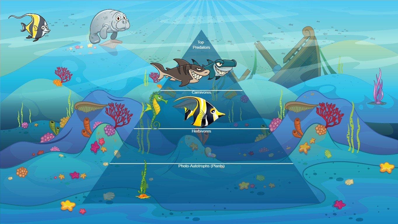 Ocean Ecological Pyramid - TEMPLATE