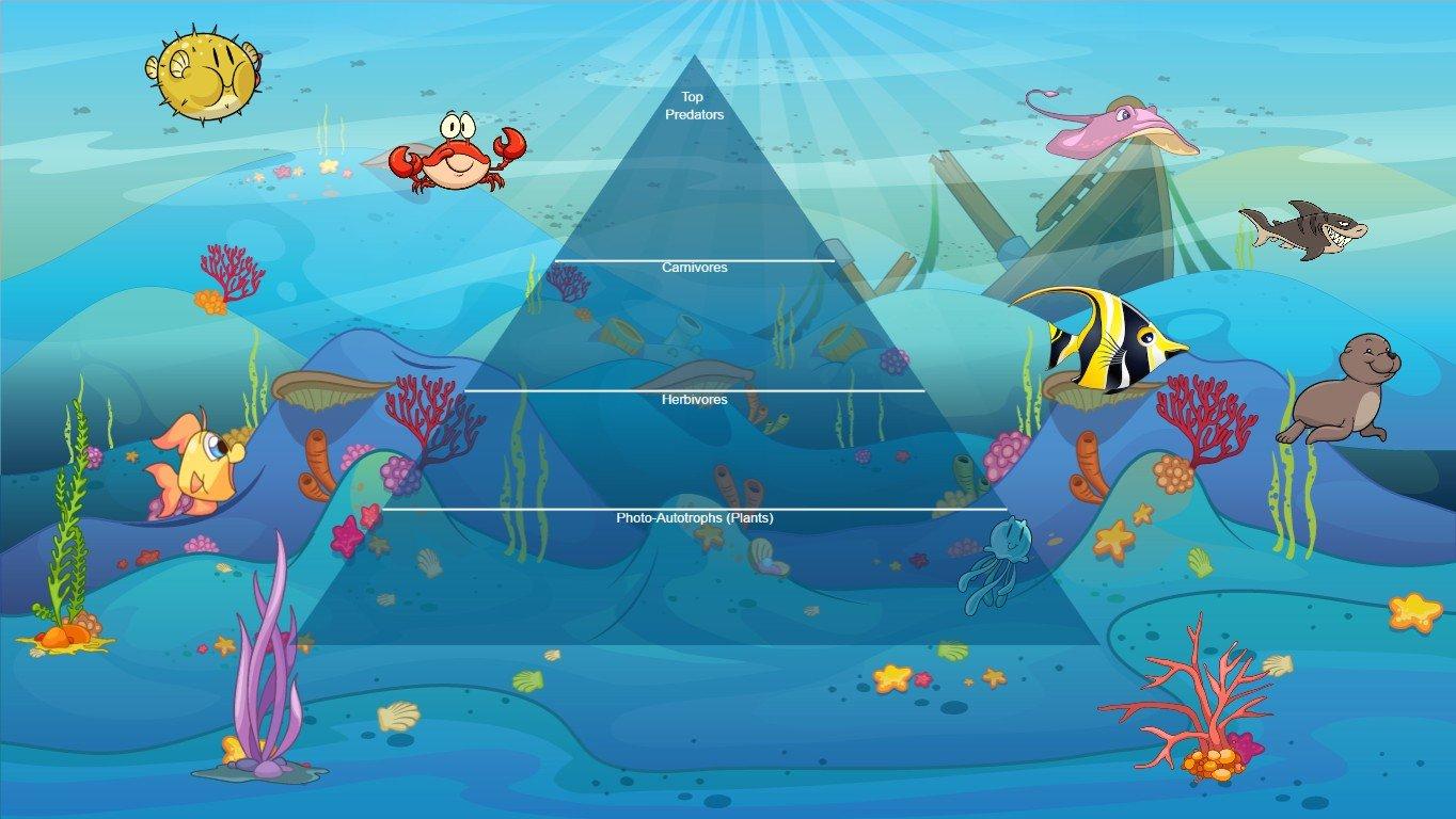 Ocean Ecological Pyramid - TEMPLATE