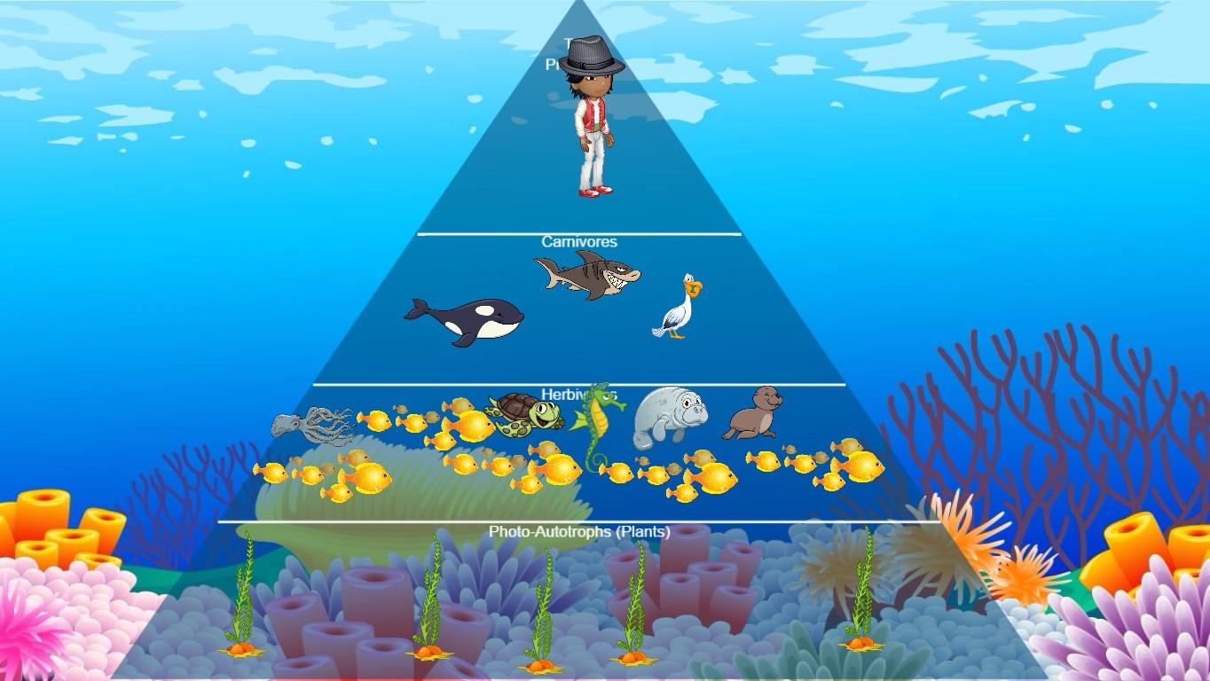 Ocean Ecological Pyramid - TEMPLATE