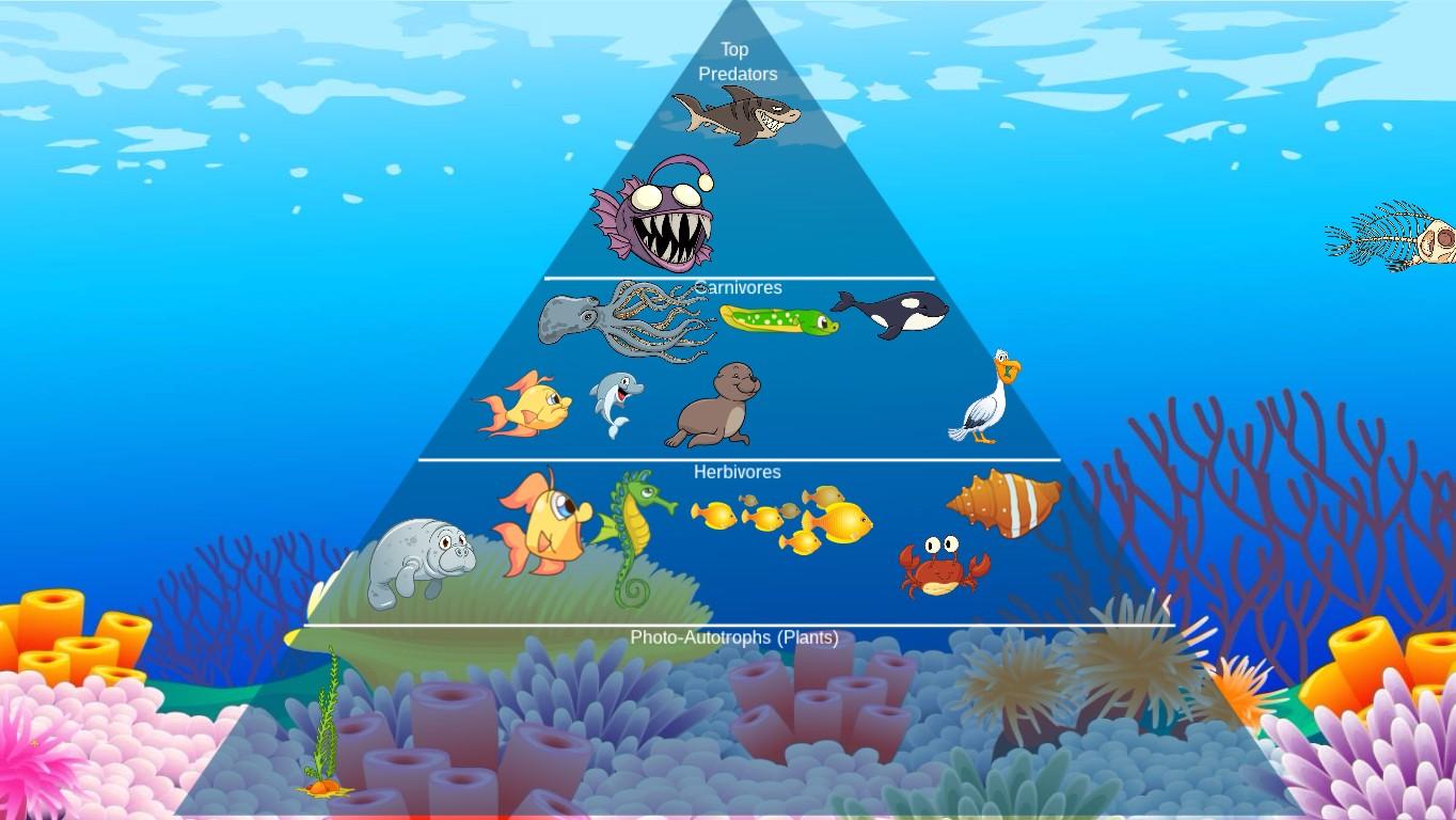 Ocean Ecological Pyramid - TEMPLATE