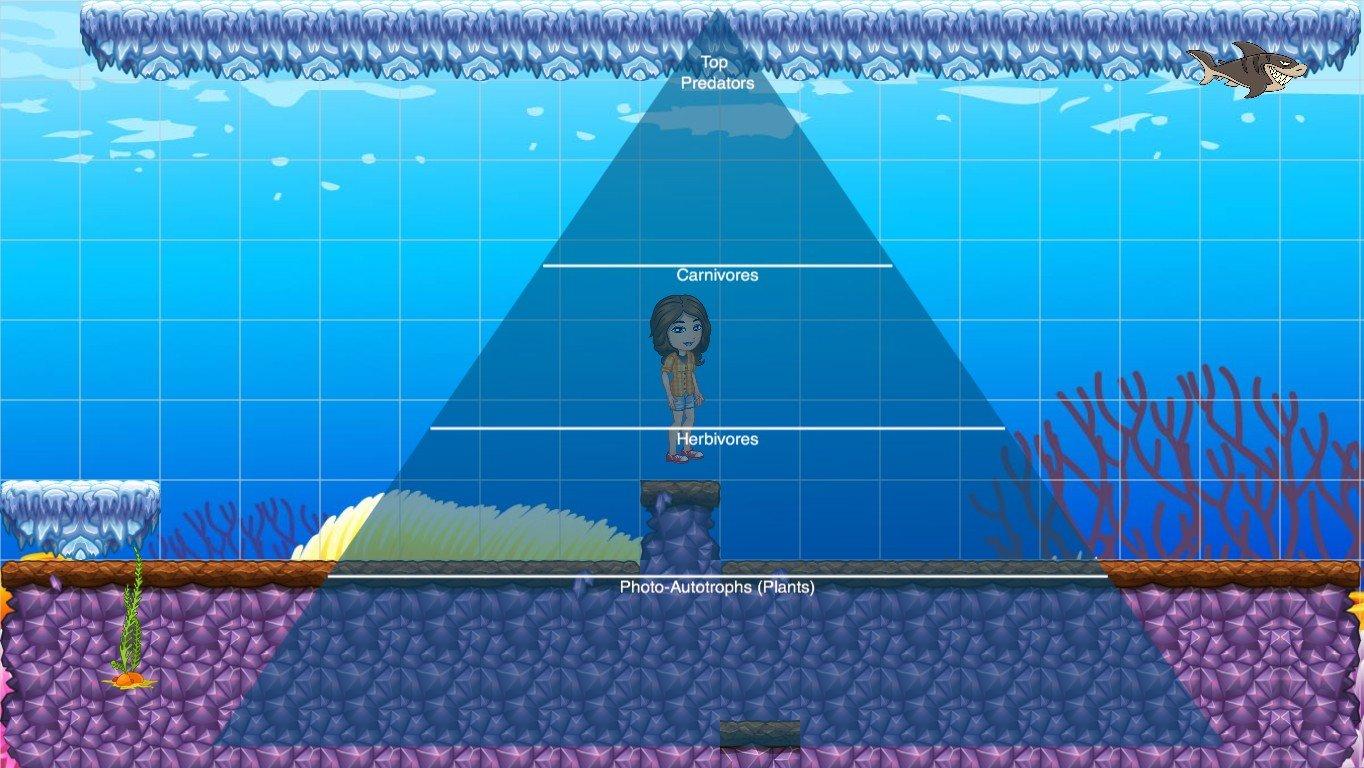 Ocean Ecological Pyramid - TEMPLATE