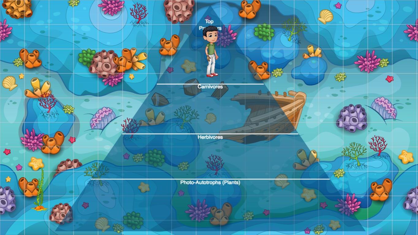 Ocean Ecological Pyramid - TEMPLATE