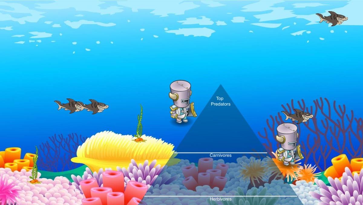 Ocean Ecological Pyramid - TEMPLATE