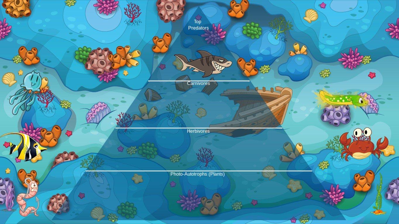 Ocean Ecological Pyramid - TEMPLATE