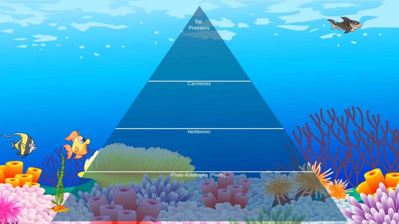 Ocean Ecological Pyramid - TEMPLATE